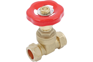 Gate valve image